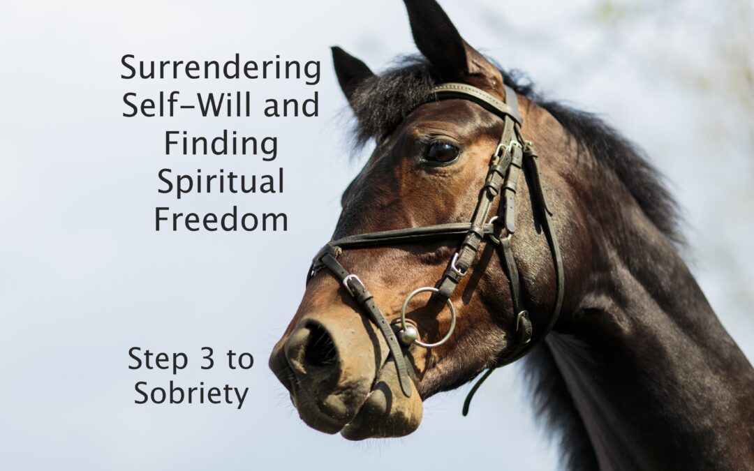Step Three to Sobriety: Surrendering Self-Will and Finding Spiritual Freedom